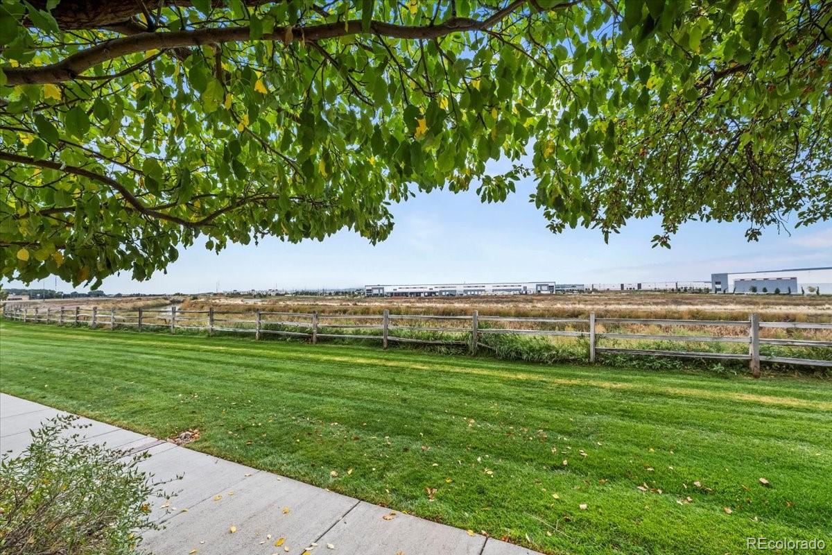 10449 Paris Street 203