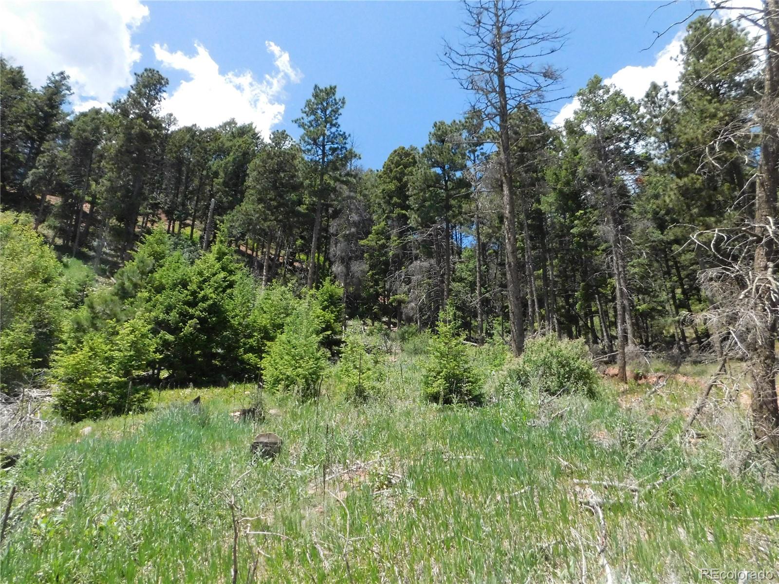 13520 Woodmoor West Drive, Larkspur, CO, 80118 13520 Woodmoor West Drive
