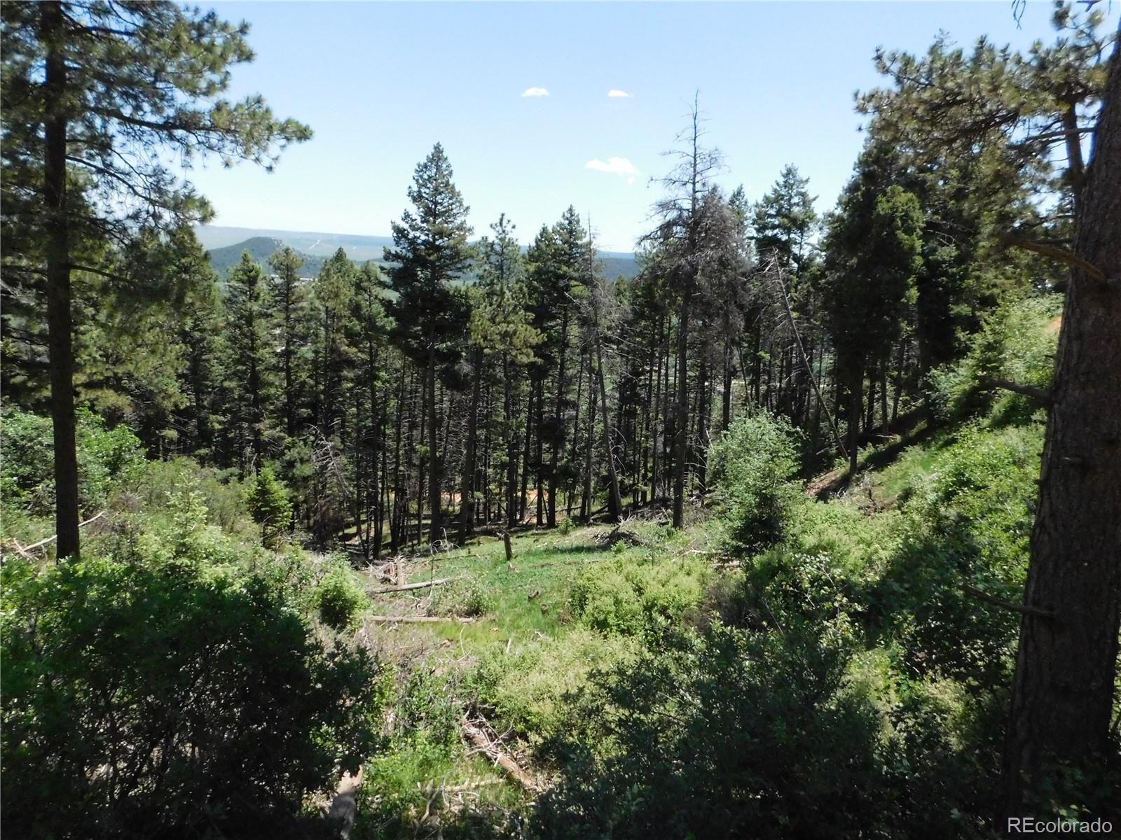 13520 Woodmoor West Drive, Larkspur, CO, 80118 13520 Woodmoor West Drive