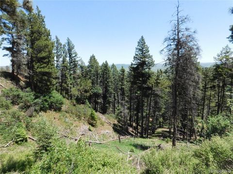 13520 Woodmoor West Drive Larkspur Co 80118