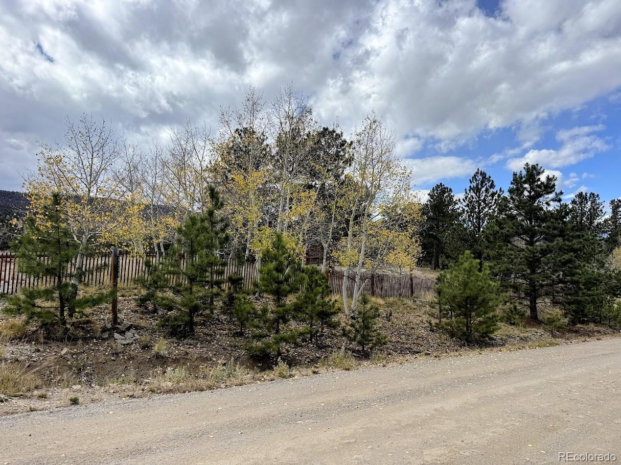 3330 Singletree Road