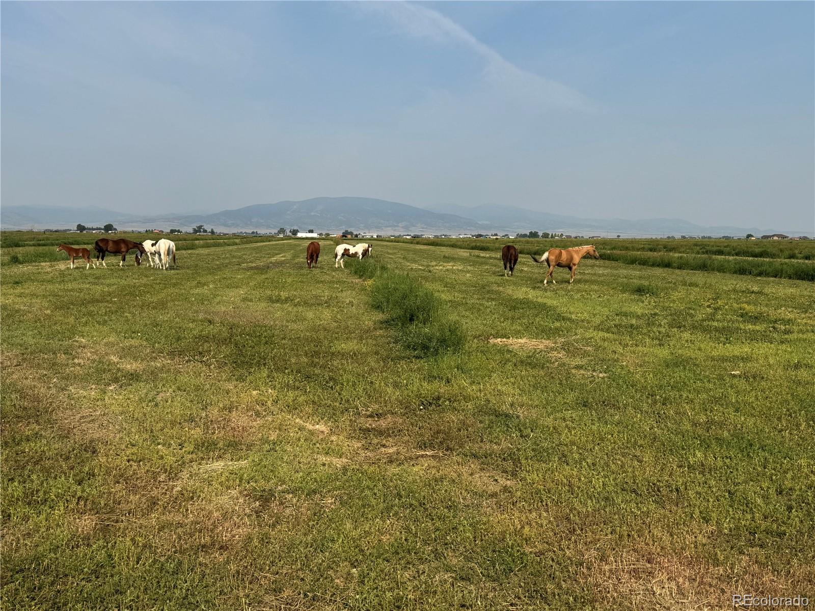 9439 County Road 101, Alamosa, CO, 81101 2 9439 County Road 101