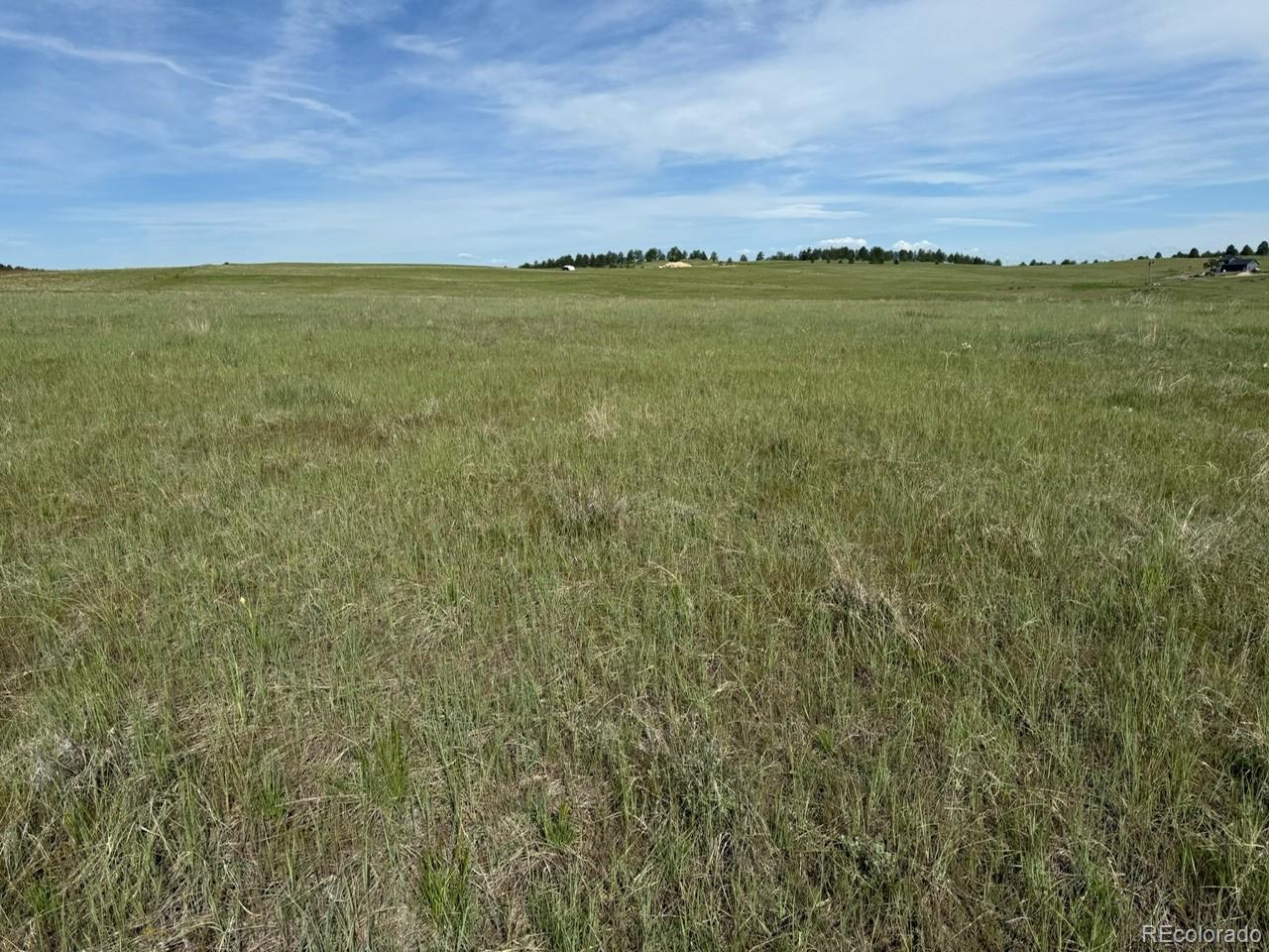 35501 Cheyenne Trail