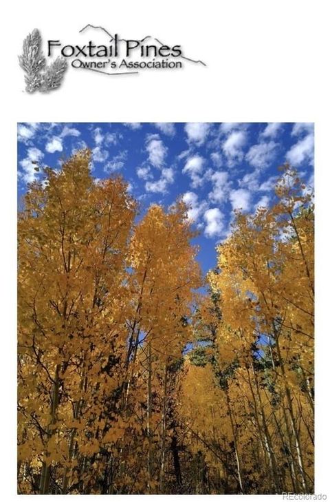 901 Bluestem Way Fairplay CO 80440