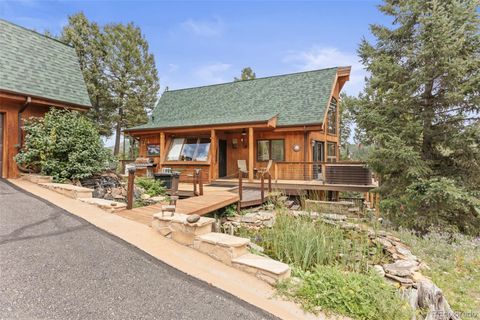 12191 Tecumseh Trail Conifer CO 80433