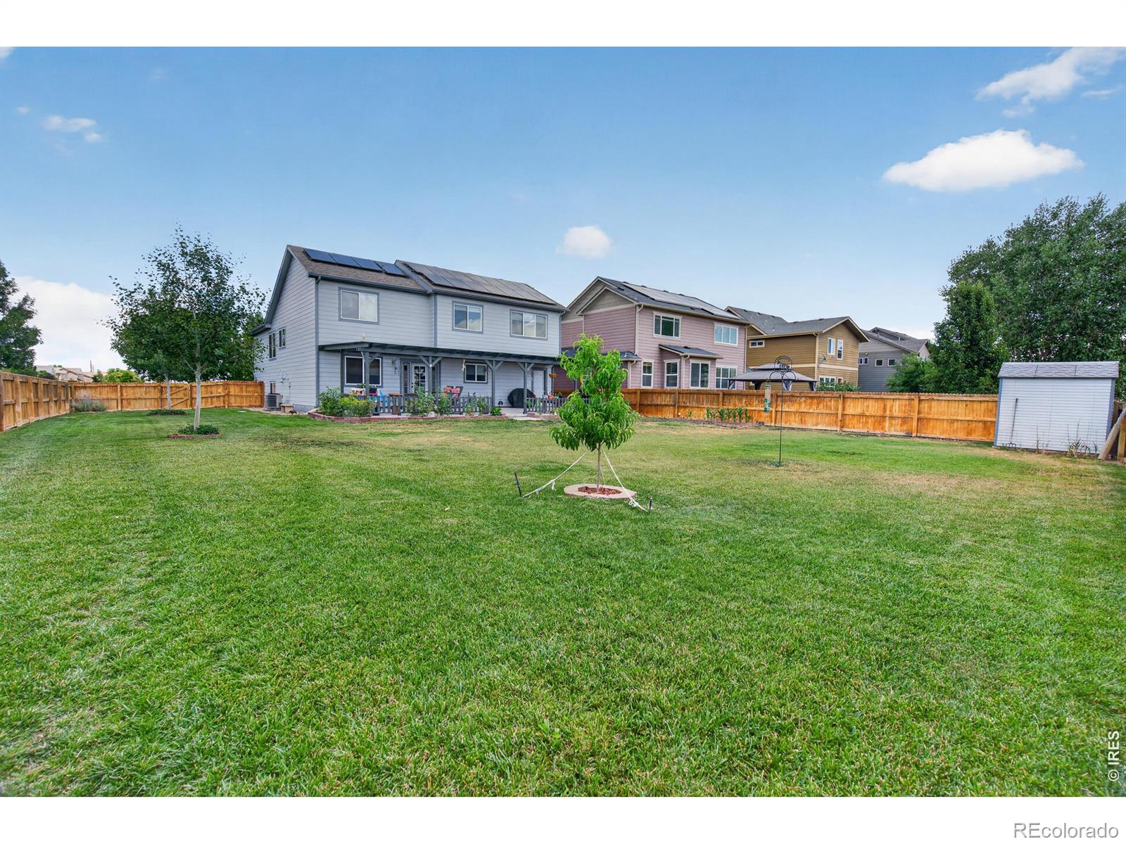 3445 Yule Trail Drive