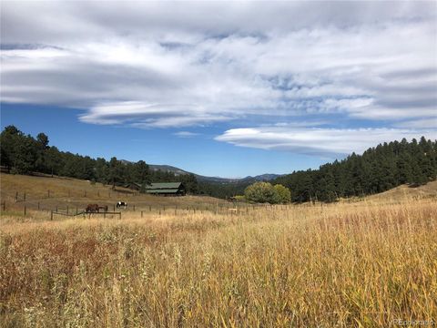 00 Cragmont Evergreen CO 80439