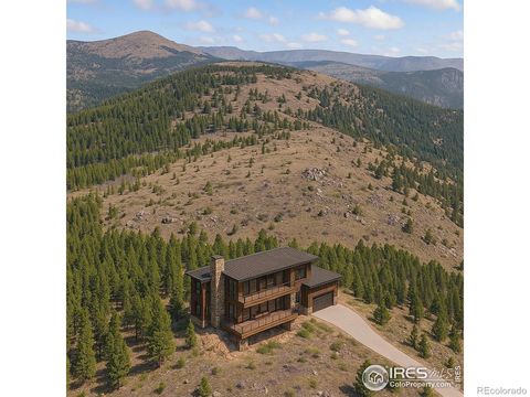 5260 Ridge Road Nederland CO 80466