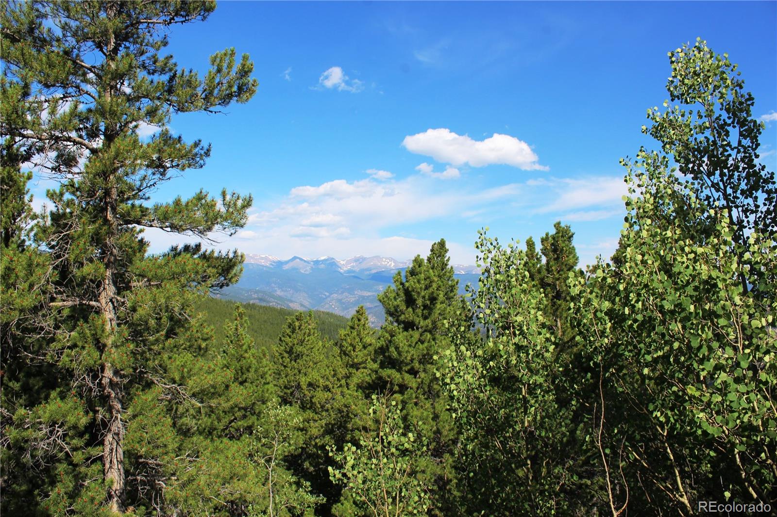 3504 Hidden Wilderness Road