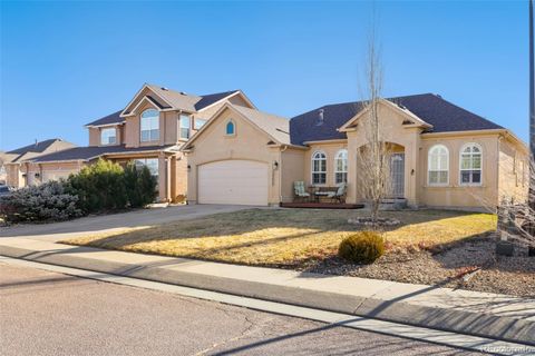 12235 Big Cypress Drive Peyton CO 80831