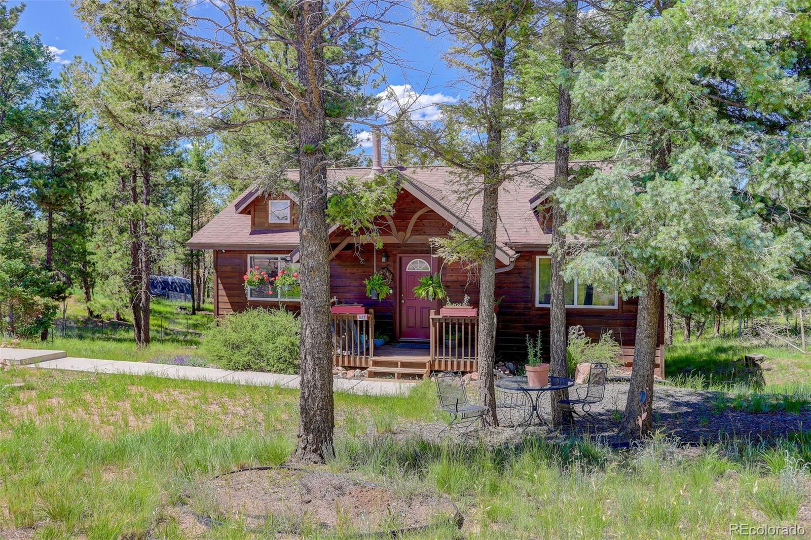 877 N Mountain Estates Road, Florissant, CO, 80816 2 877 N Mountain Estates Road
