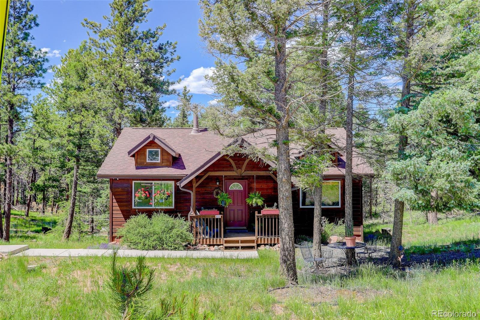 877 N Mountain Estates Road, Florissant, CO, 80816 1 877 N Mountain Estates Road