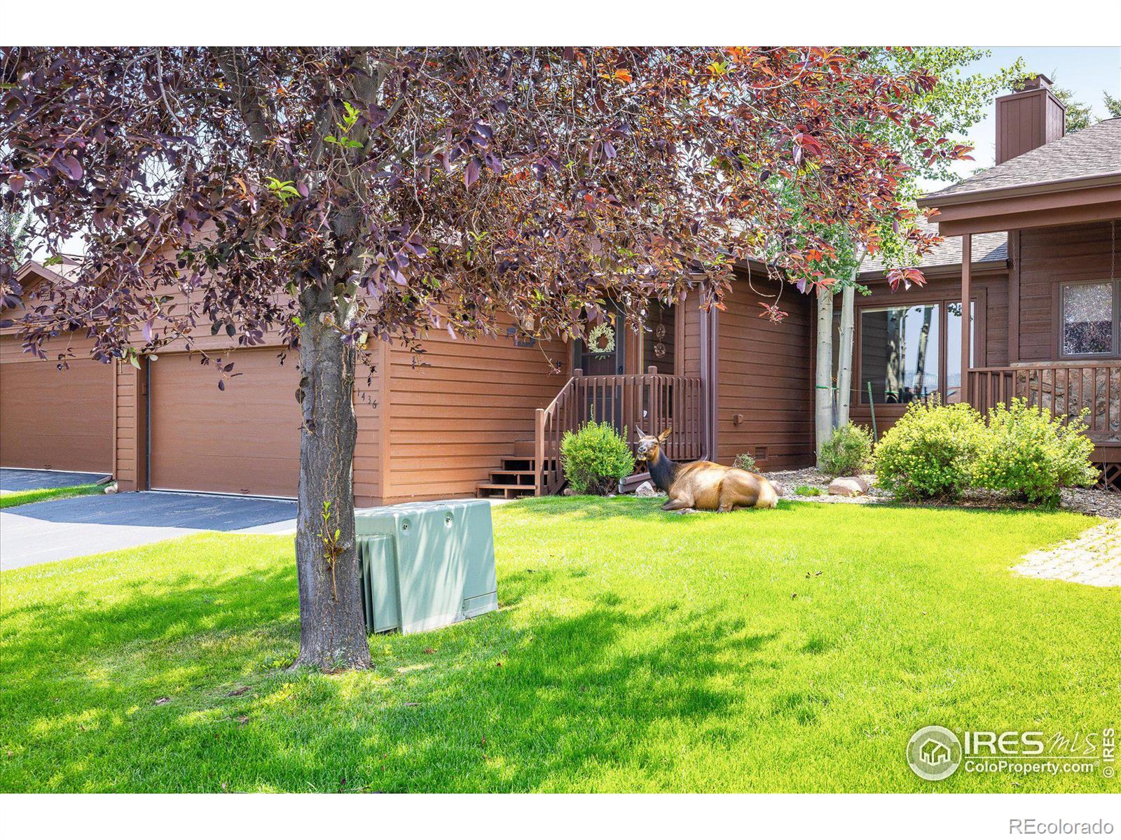 1436 Matthew Circle, Estes Park, CO, 80517 1 1436 Matthew Circle