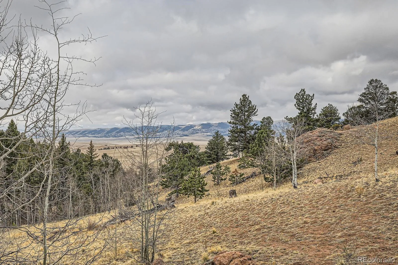 Jefferson, Colorado 80456, United States, 2 Bedrooms Bedrooms, ,1 BathroomBathrooms,Residential,Active,121730