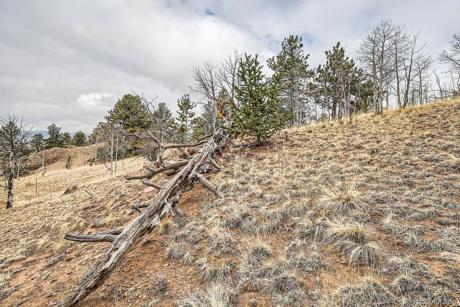 Jefferson, Colorado 80456, United States, 2 Bedrooms Bedrooms, ,1 BathroomBathrooms,Residential,Active,121730