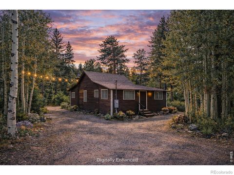 550 W Breed Street Nederland CO 80466