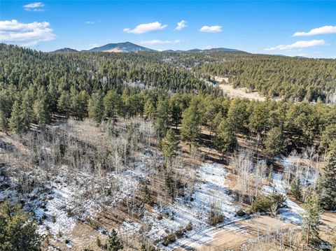 Lot 20 Echo Lake Drive Florissant CO 80827