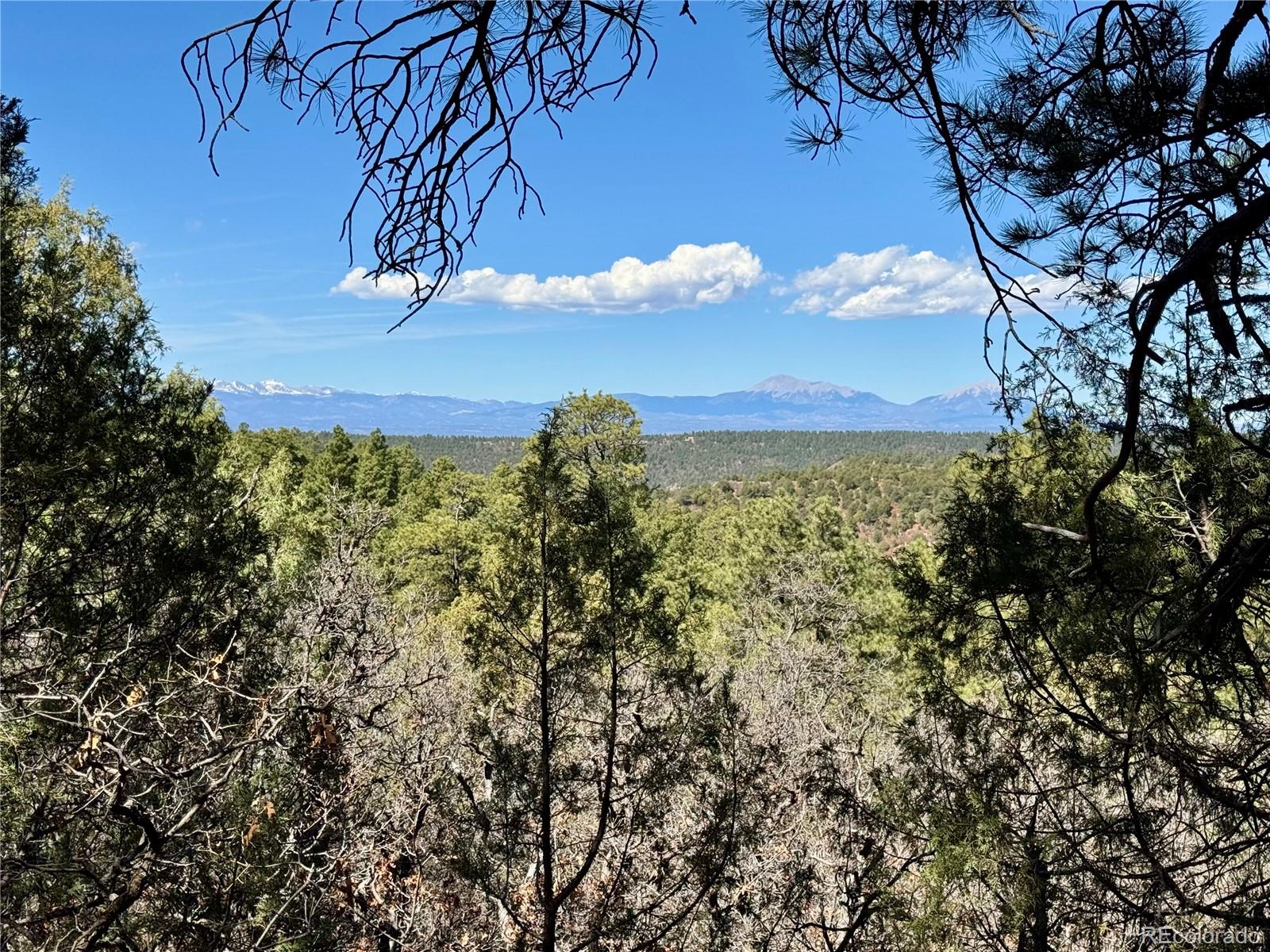 34999 Timber Park Drive