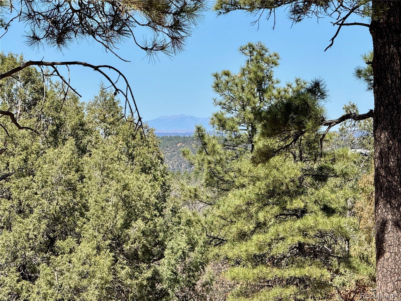 34999 Timber Park Drive