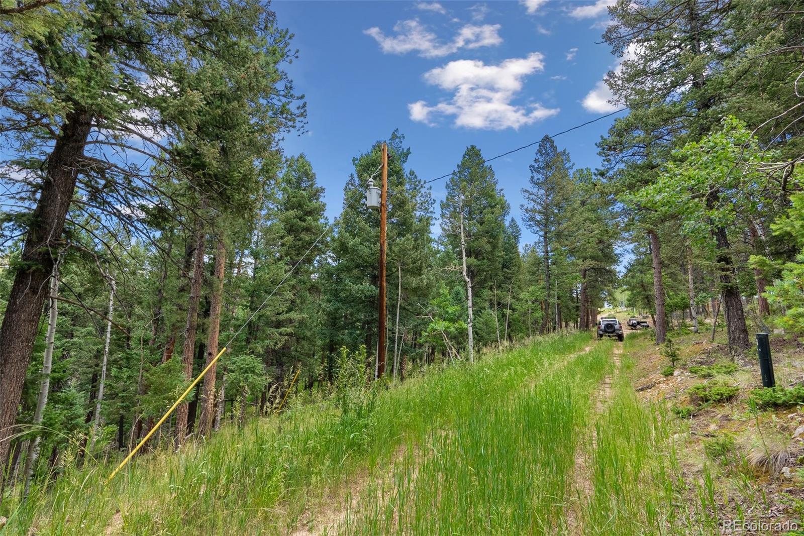 135 Linda Trail