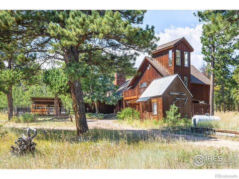 555 Forsythe Road Nederland CO 80466