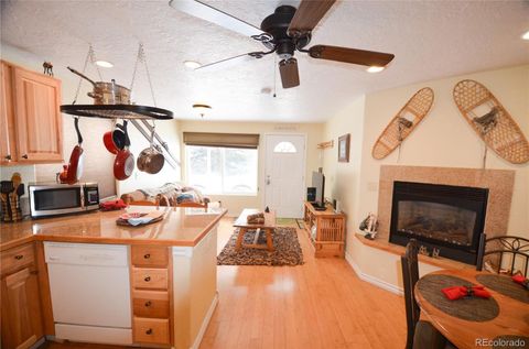 414 Tenderfoot Street 9 Dillon CO 80435