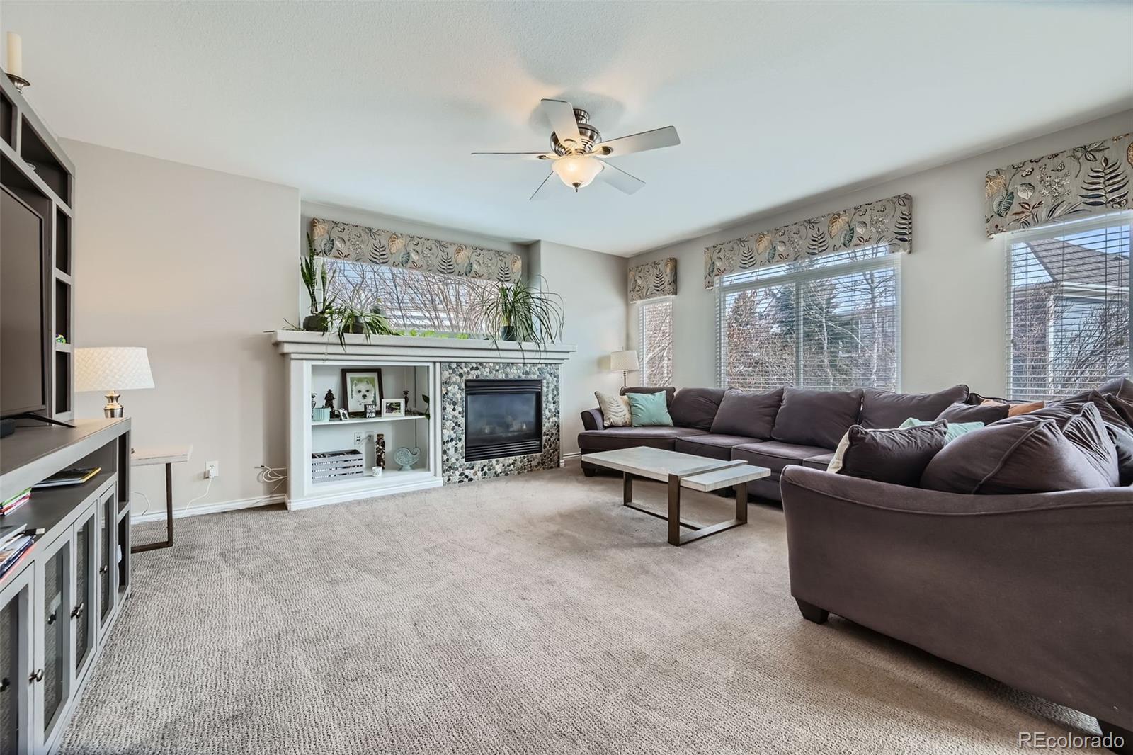 14096 Roaring Fork