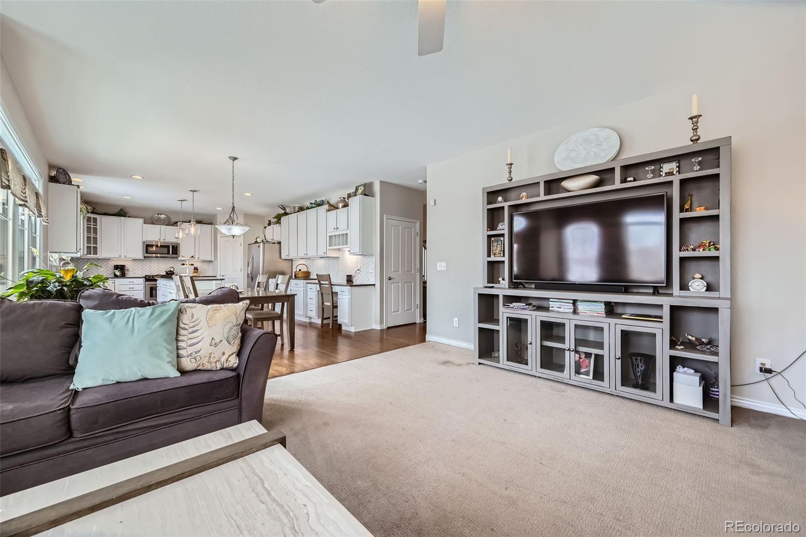 14096 Roaring Fork
