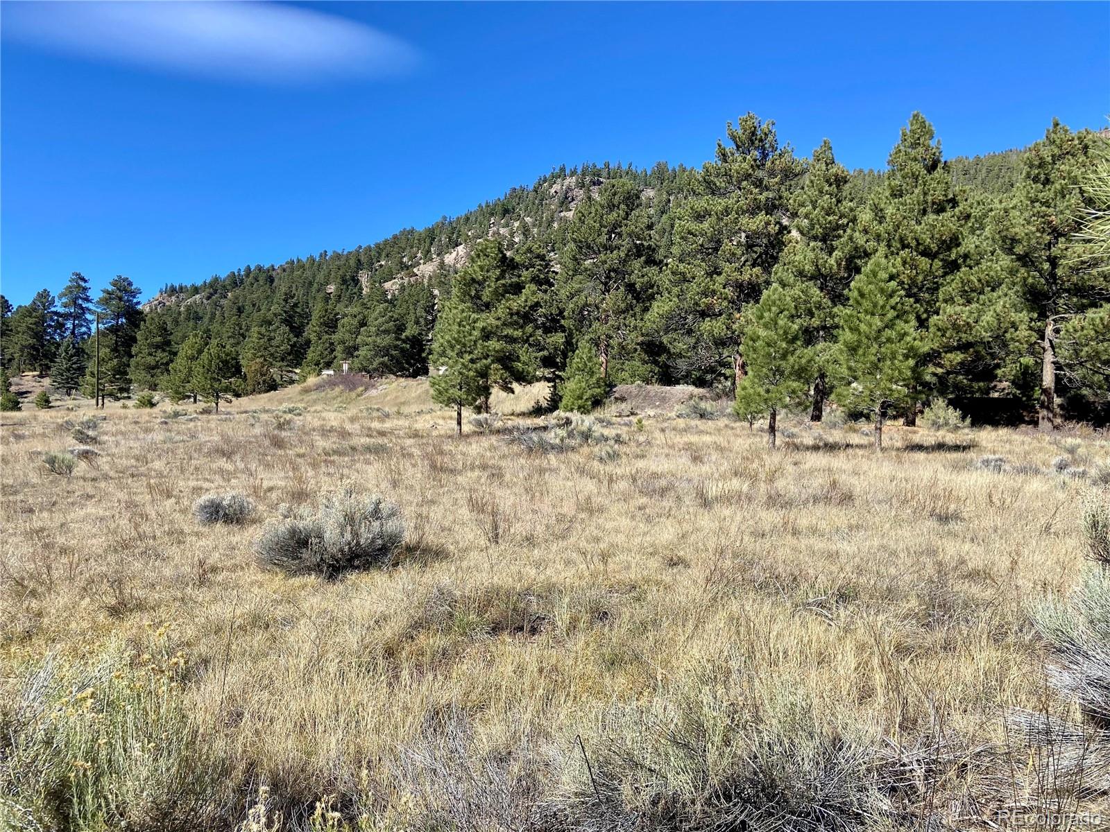 166 Lonesome Pine Drive