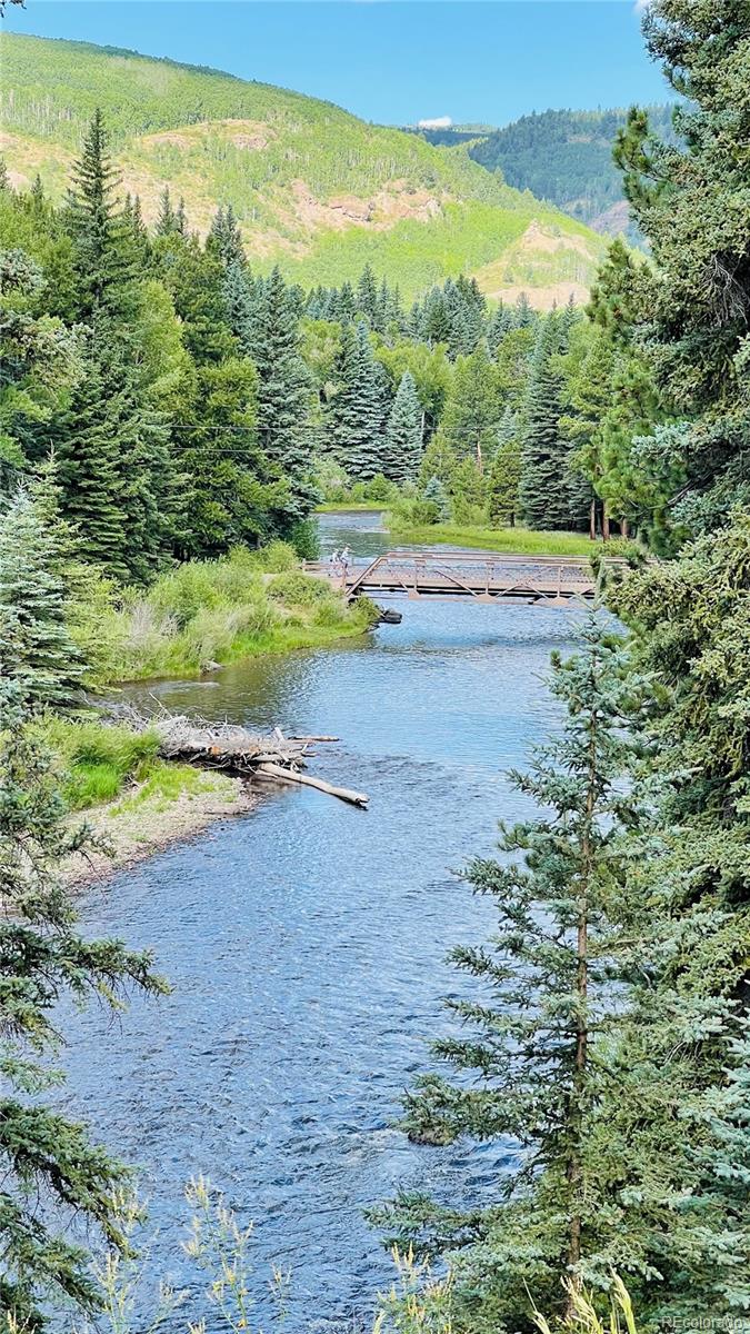 166 Lonesome Pine Drive