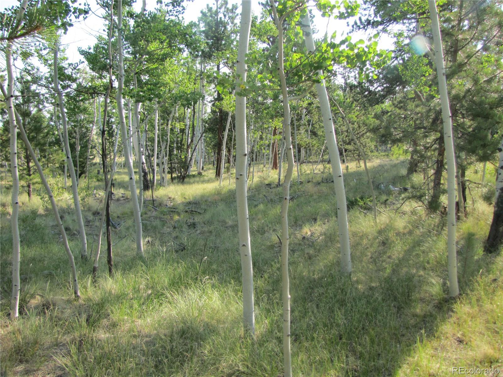 9798 Ranch Road