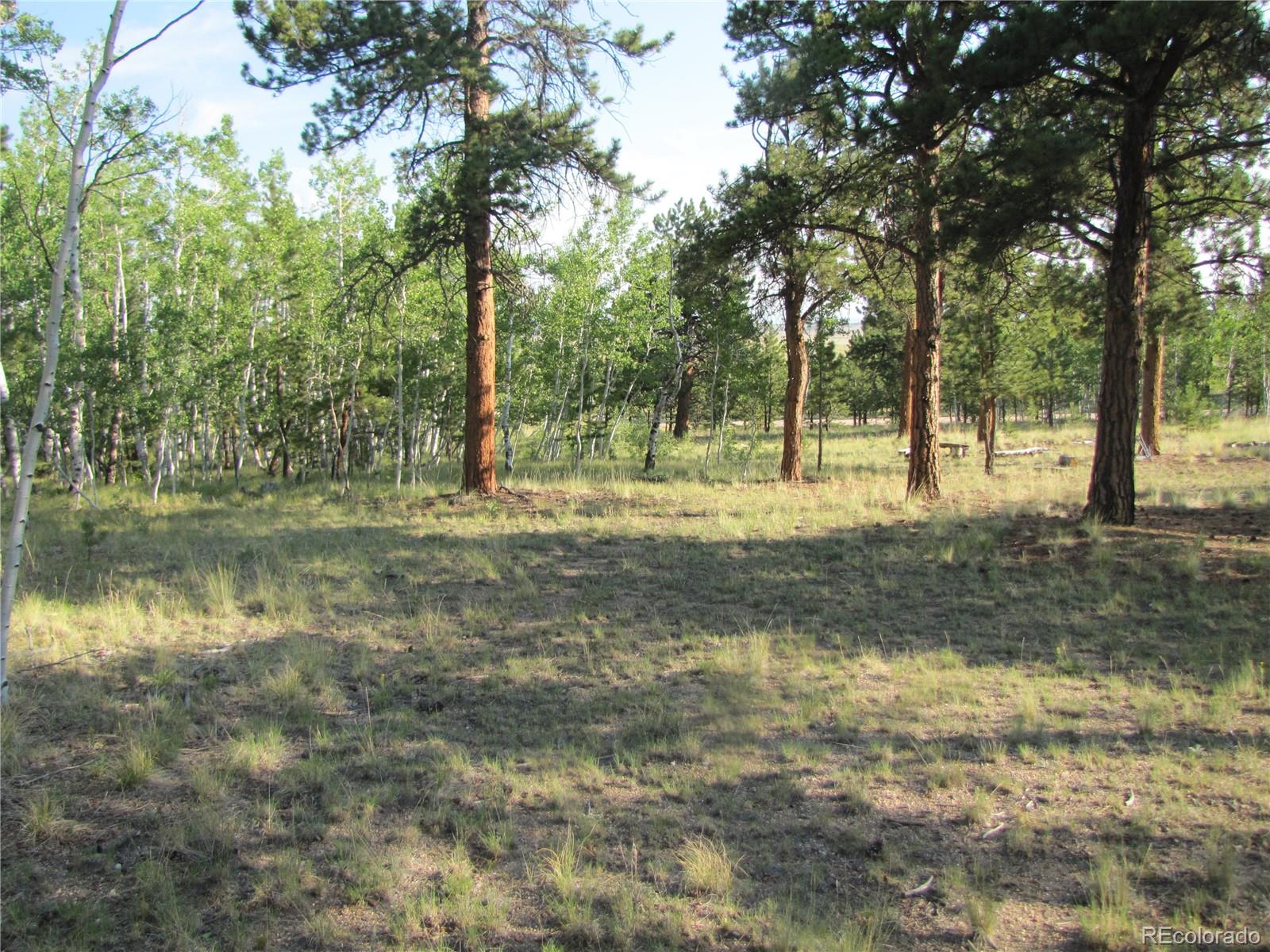 9798 Ranch Road