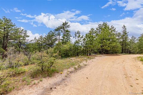 2050 Spring Beauty Lane Larkspur CO 80118