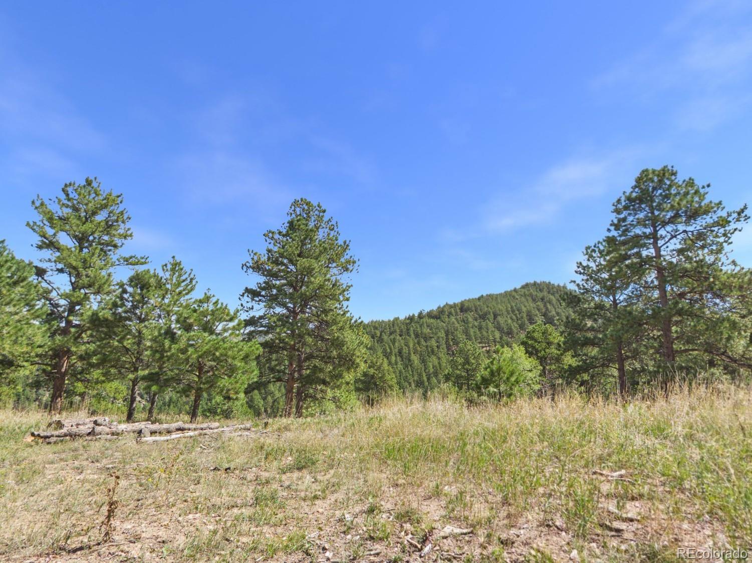 N Turkey Creek Road
