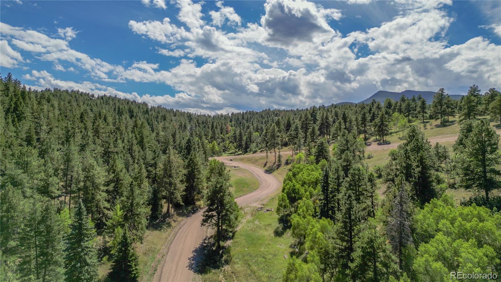 N Turkey Creek Road