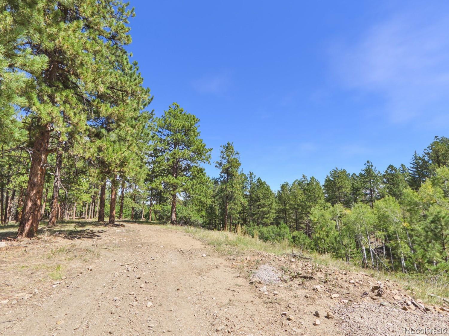 N Turkey Creek Road