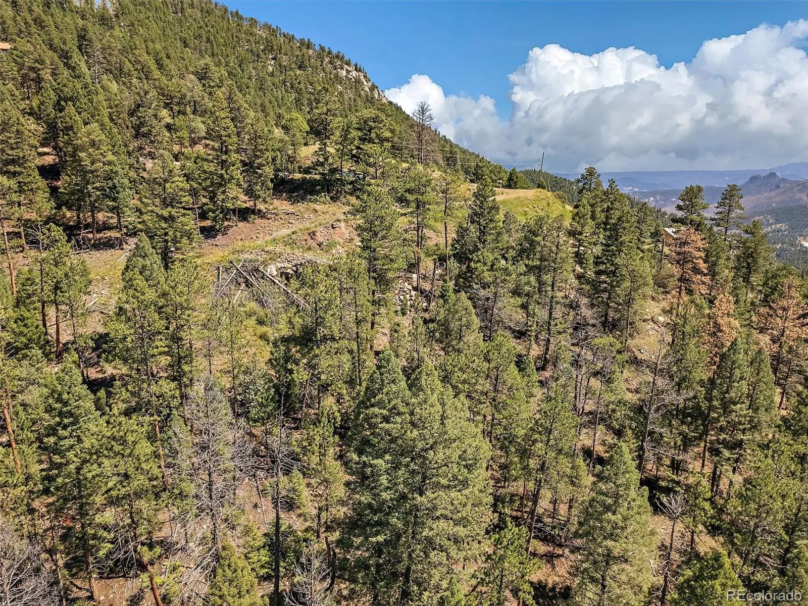 Conifer, Colorado 80433, United States, ,Land,Active,70905