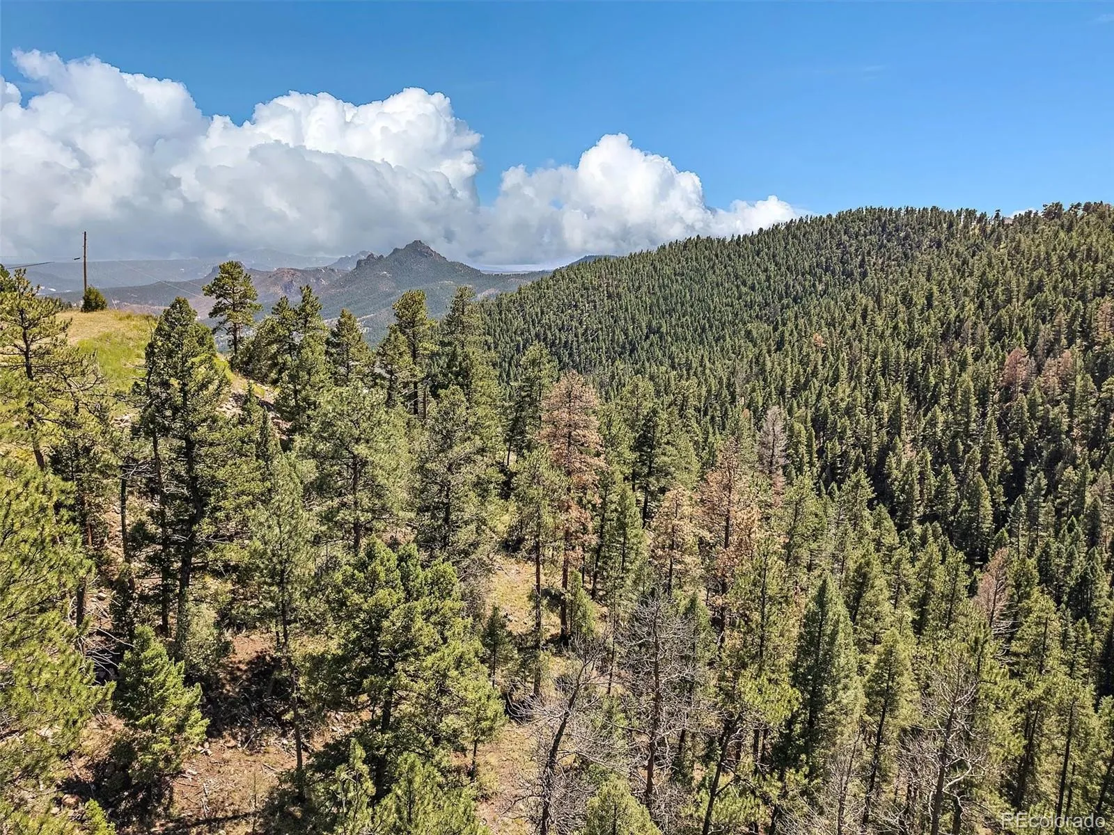 Conifer, Colorado 80433, United States, ,Land,Active,70905