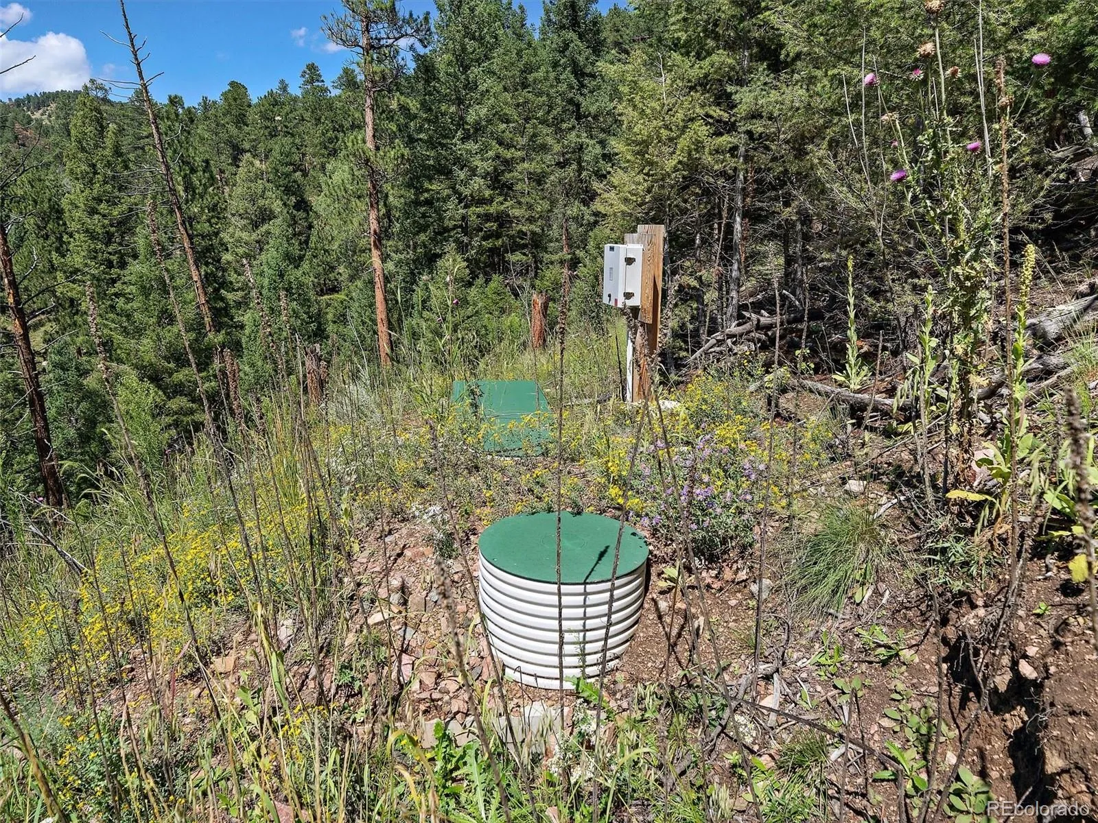 Conifer, Colorado 80433, United States, ,Land,Active,70905