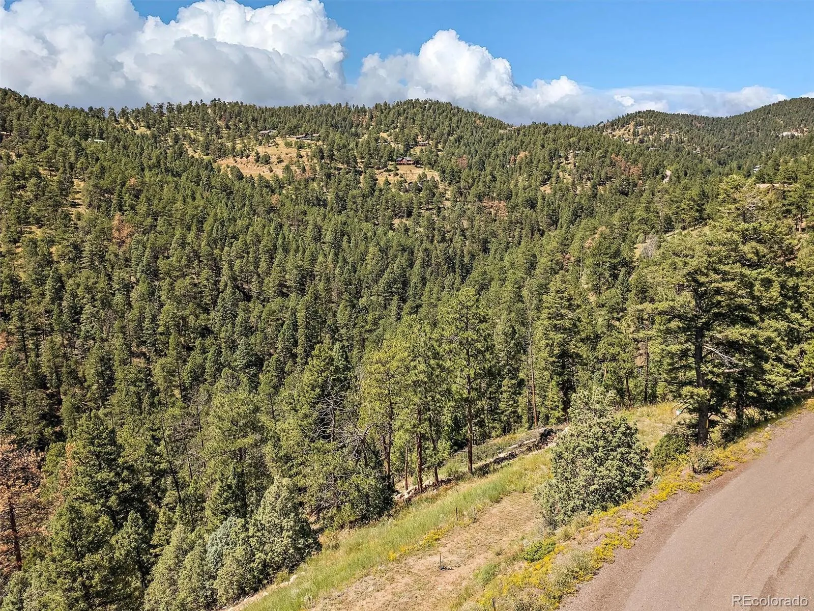 Conifer, Colorado 80433, United States, ,Land,Active,70905