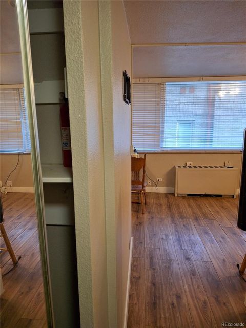 1196 N Grant Street 309 Denver CO 80203