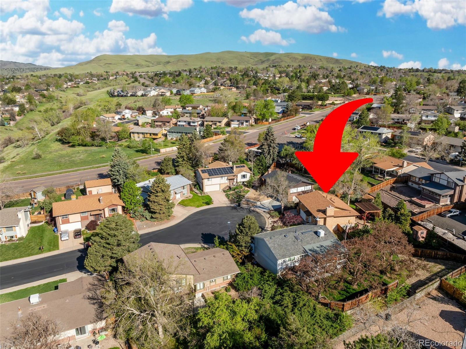 2250 S Zang Court, Lakewood, CO, 80228 2 2250 S Zang Court