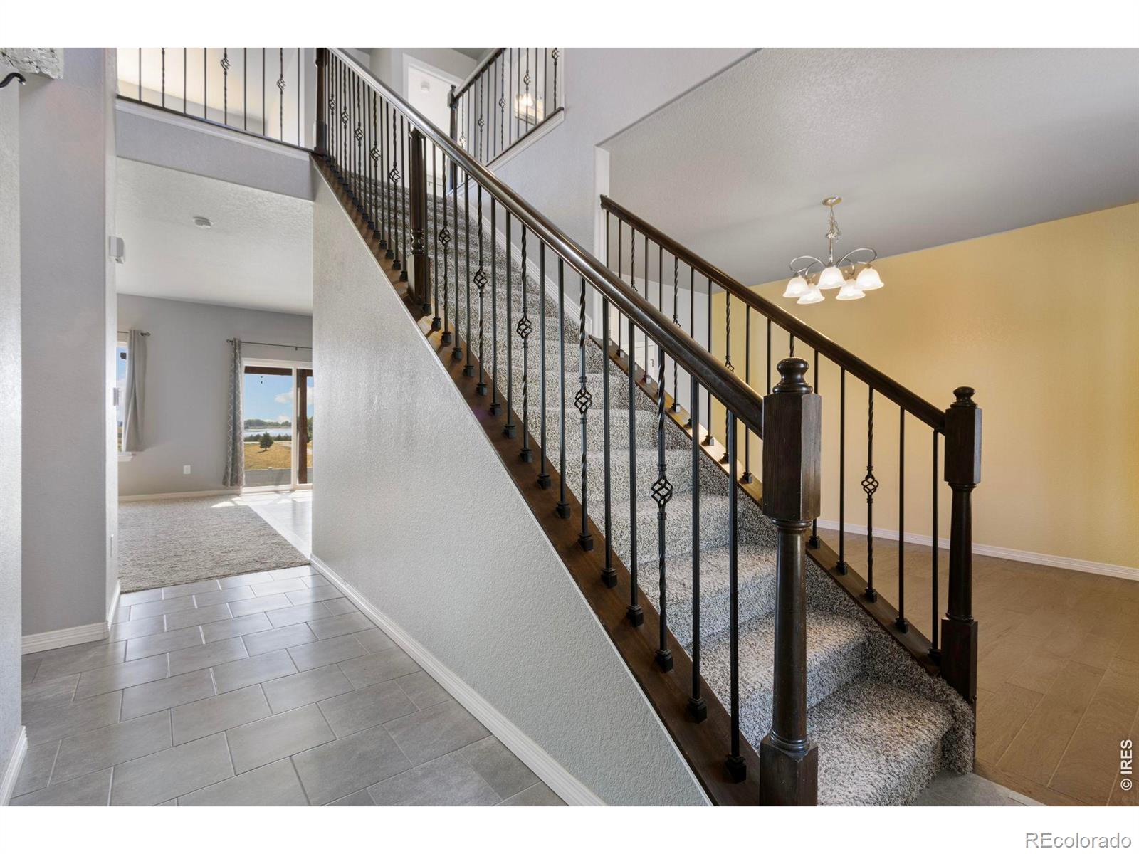 2480 Nicholson Street