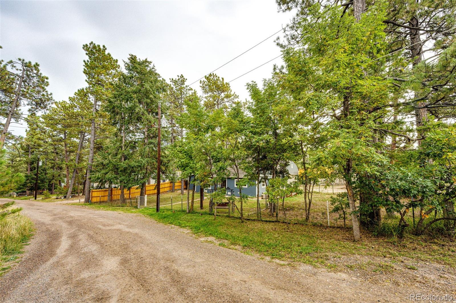 9273 Curtis Road, Larkspur, CO, 80118 3 9273 Curtis Road