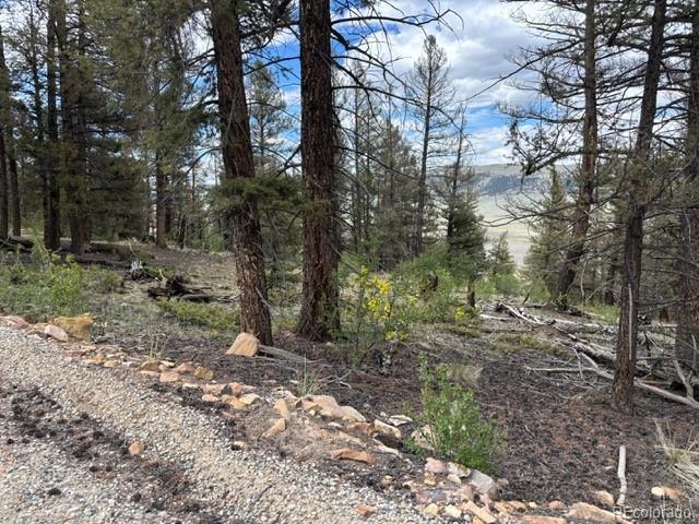 Middle Fork Vista