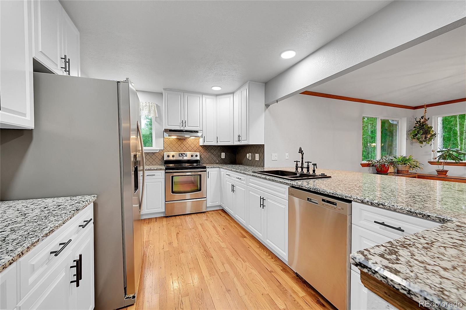 9229 Black Mountain Drive