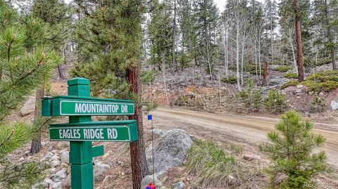 30176 Mountaintop Drive Buena Vista CO 81211