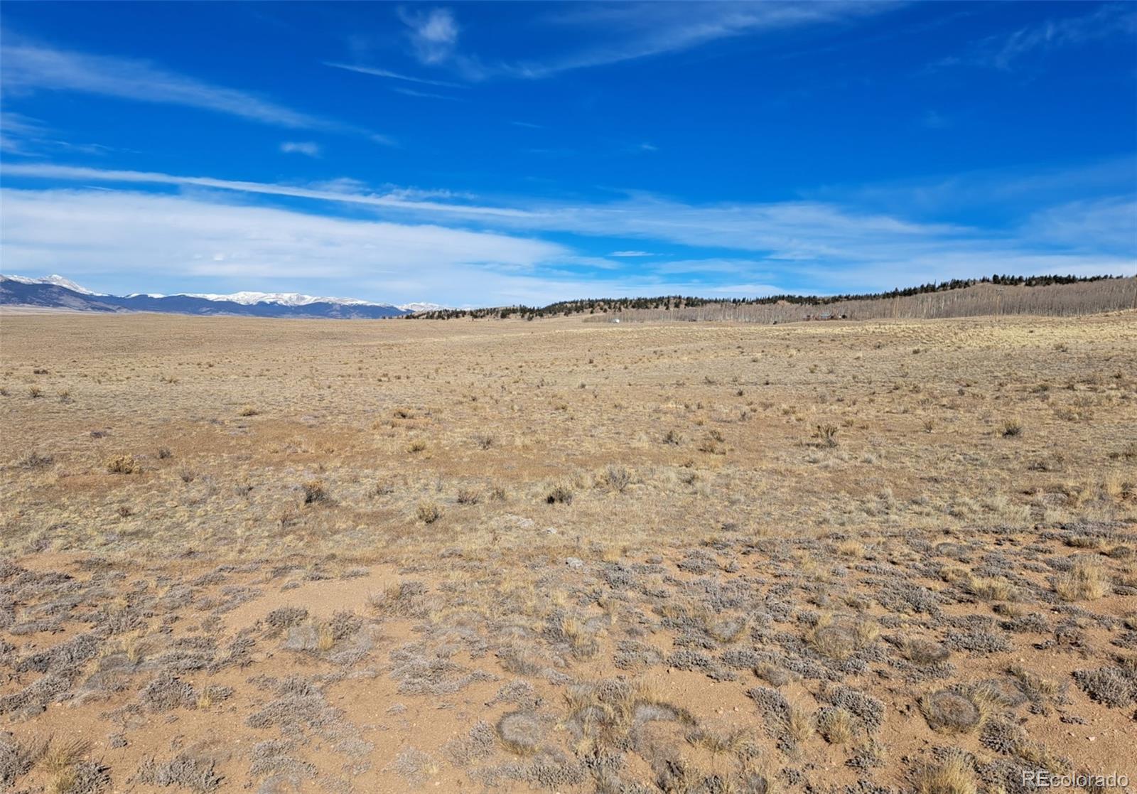 513 Night Hawk Circle