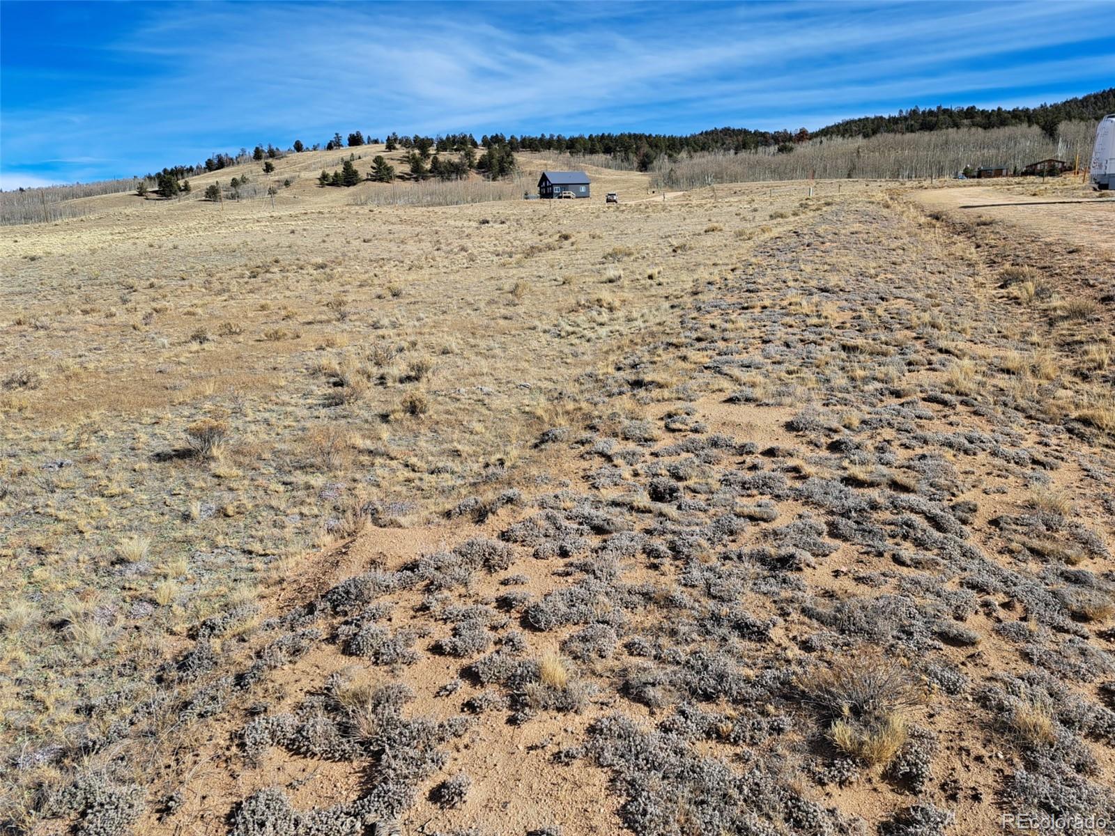 513 Night Hawk Circle