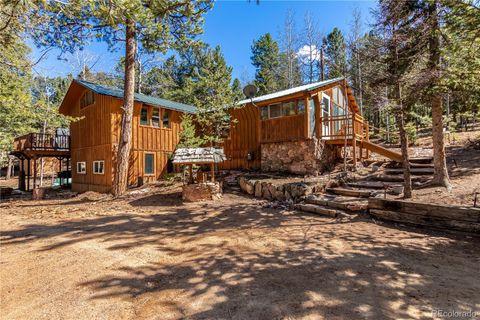 44 Anderson Road Florissant CO 80816